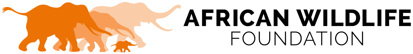 African Wildlife Foundation